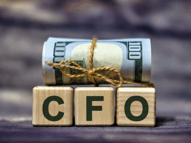 Illustration of cost of hiring fractional CFO