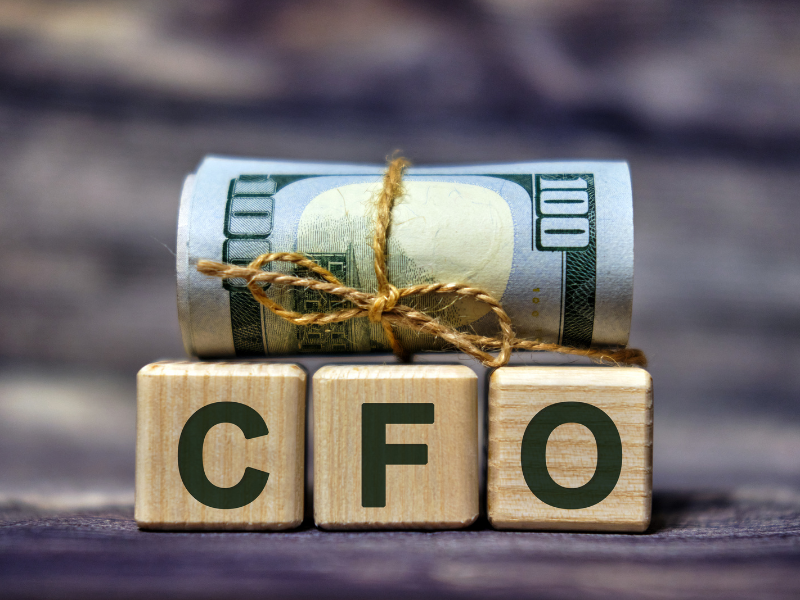 Illustration of cost of hiring fractional CFO